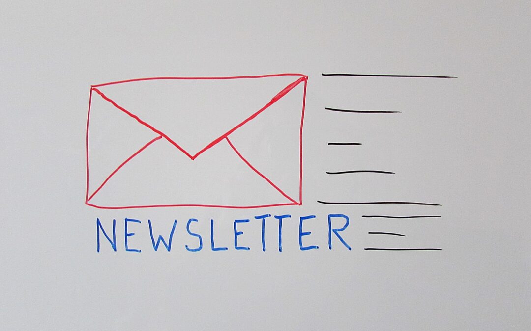 Newsletter Growth Strategy: From 60 to 1,060 Subscribers